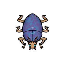 Chag Beetle 1 by David Wilson