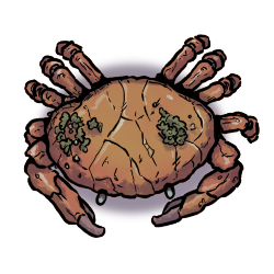 Large Crab by David Wilson