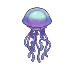 Large Jellyfish 2 by David Wilson