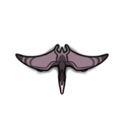 Pterodactylus 1 by Hammertheshark