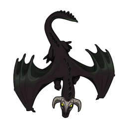 Black Dragon Young 1 by Fairbanks